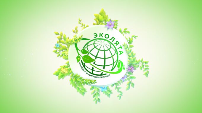 Всероссийская олимпиада «Эколята – молодые защитники природы».